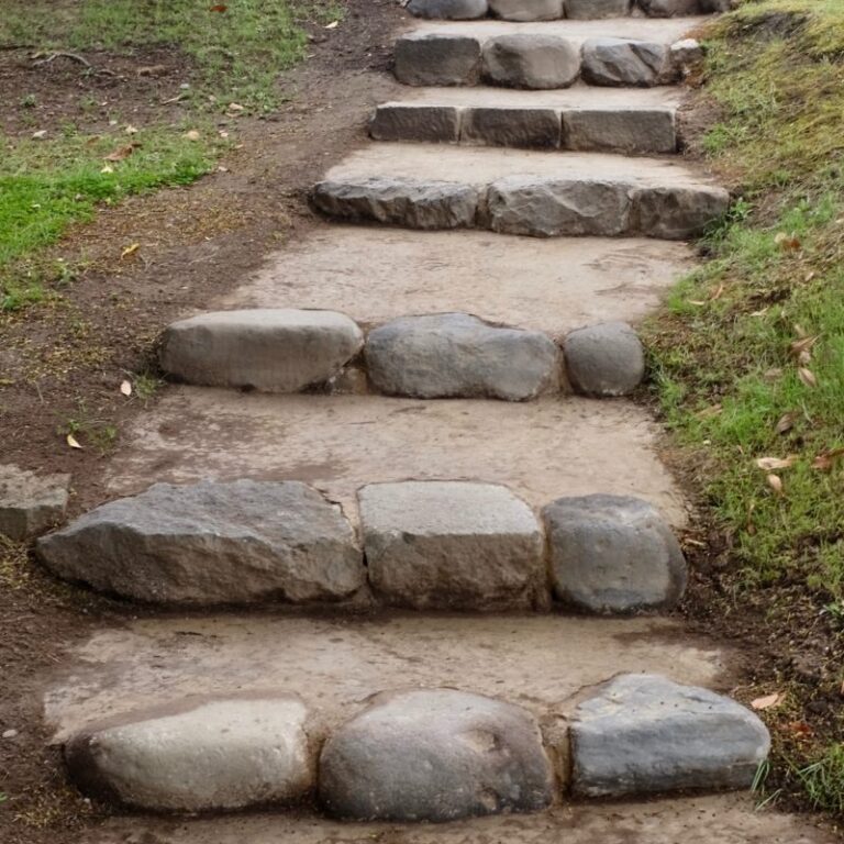 DSCF4463 2 e1766211391132 768x768 - 造園設計・施工