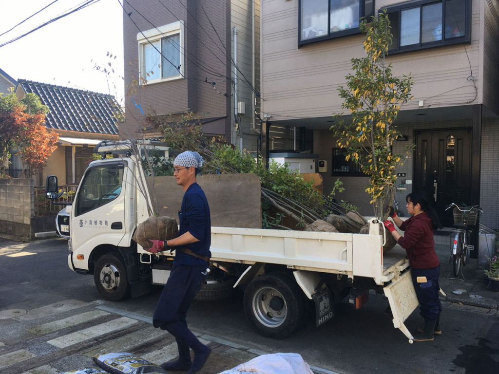 IMG 0437 1024x768 - 駐車場のある雑木の庭　作庭　その5