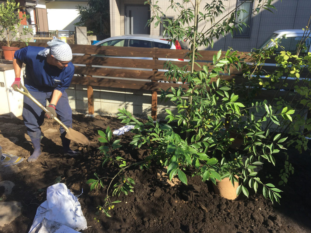 IMG 0443 1024x768 - Making a natural style Japanese garden (part 5)