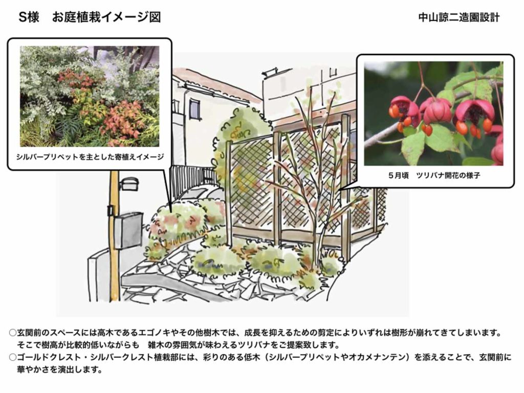 ゴールドクレスト シルバークレストの伐採と新規植栽 Ryoji Nakayama Landscape Design