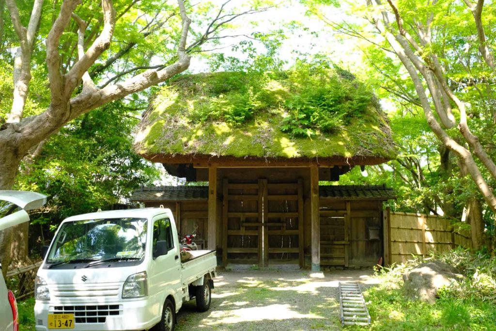 DSCF2329 1024x683 - Garden maintenance in Chizan-so, Hayama