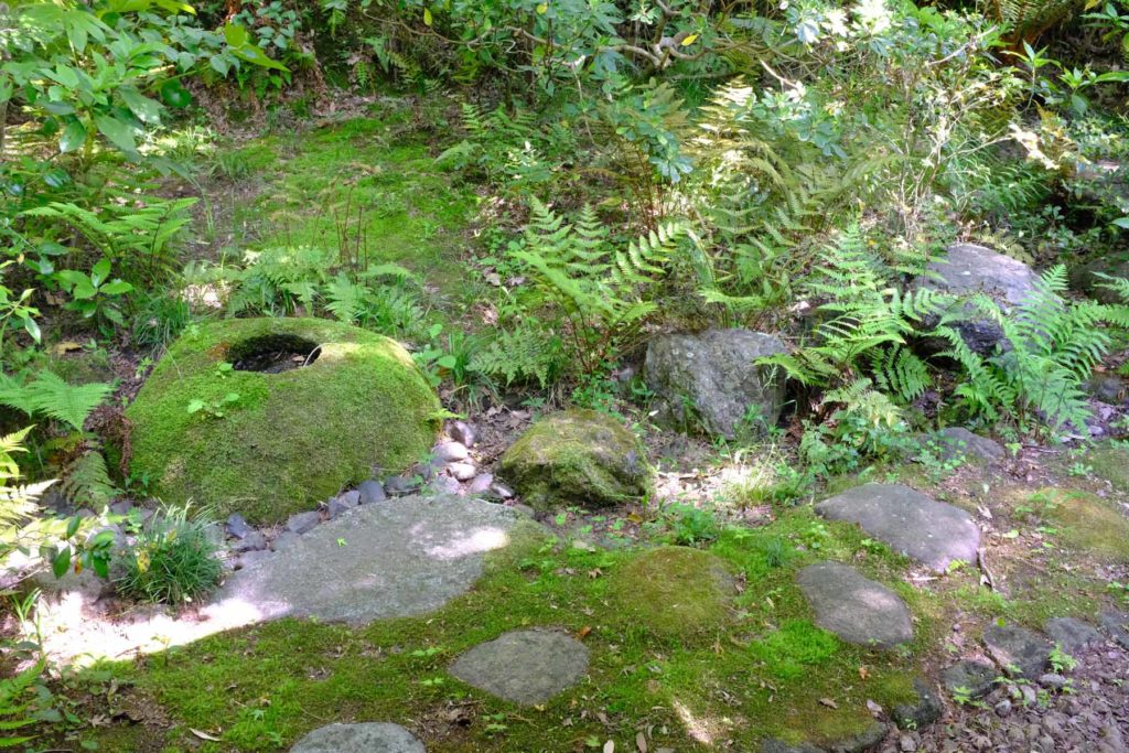 DSCF2335 1024x683 - Garden maintenance in Chizan-so, Hayama