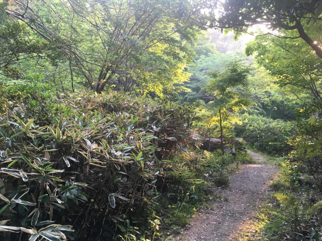 IMG 3503 1024x768 - Garden maintenance in Chizan-so, Hayama