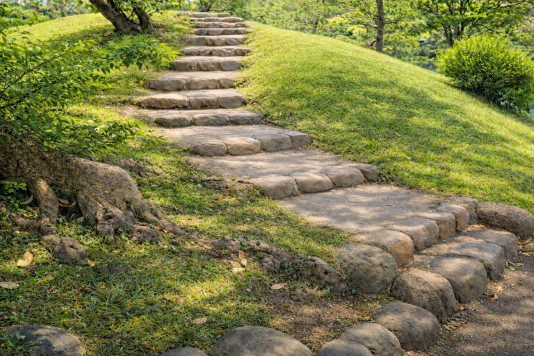 Kyushiba 1 1 e1772453492101 768x512 - HOME