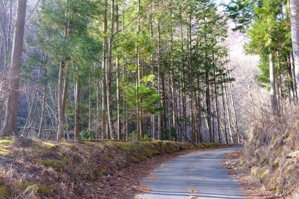 DSCF15631 1024x683 - 農鳥岳への冬期合宿