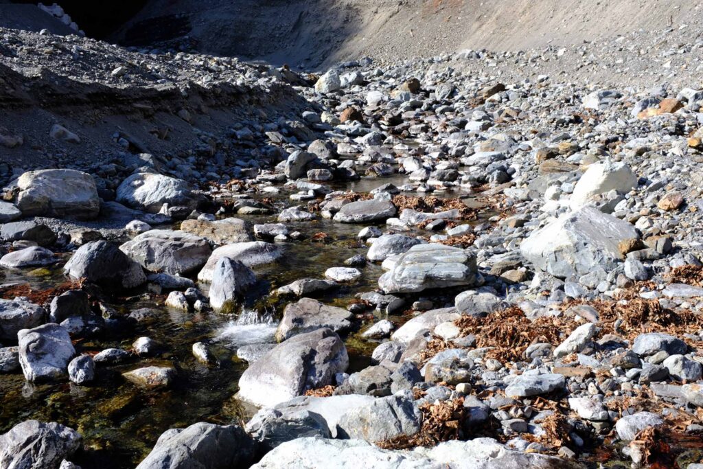 DSCF1566 1024x683 - 農鳥岳への冬期合宿