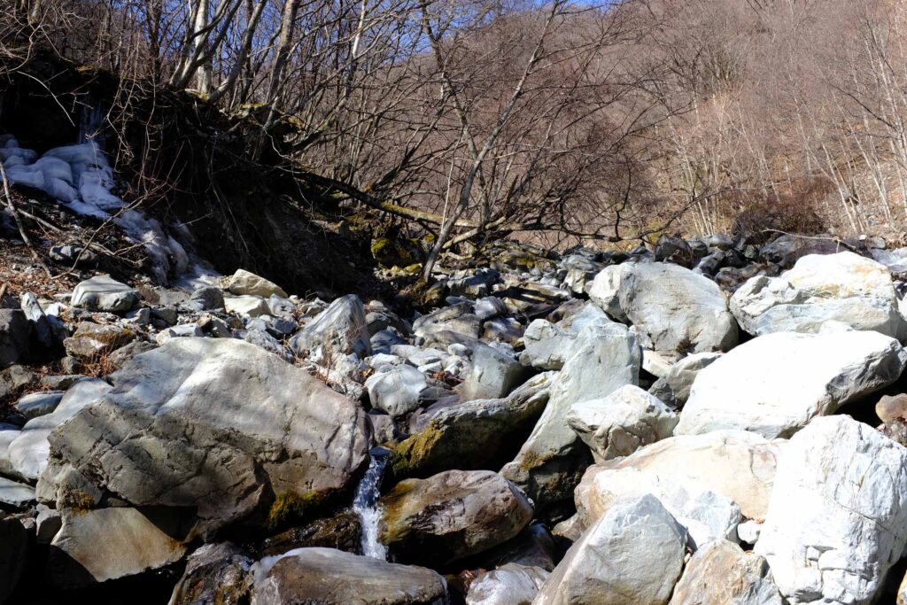 DSCF1576 1024x683 - 農鳥岳への冬期合宿