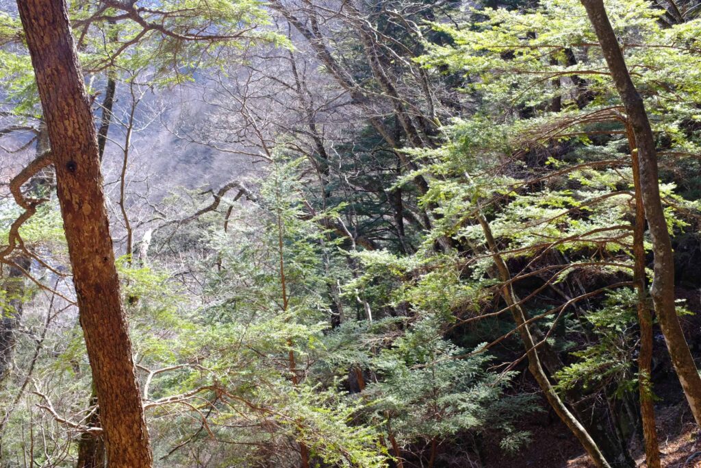 DSCF1580 1024x683 - 農鳥岳への冬期合宿