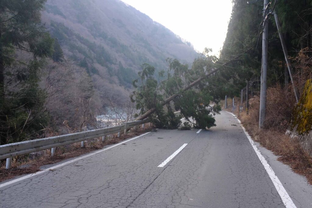 DSCF16921 1024x683 - 北岳への冬期合宿