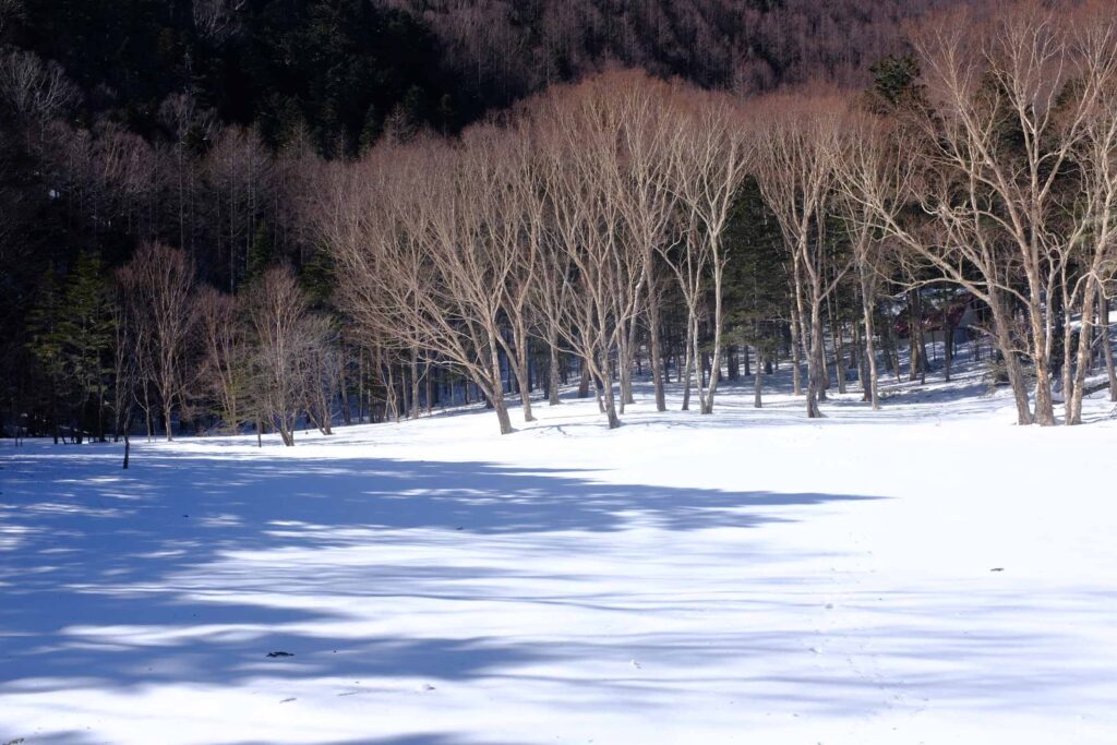 DSCF1712 1024x683 - 北岳への冬期合宿