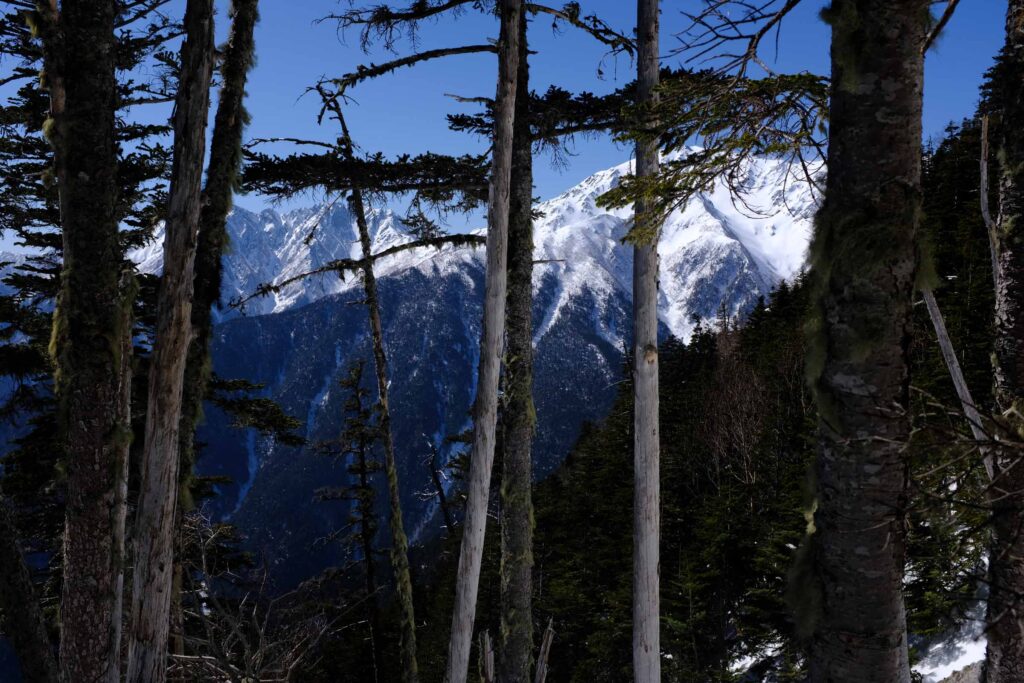 DSCF1833 1024x683 - 北岳への冬期合宿