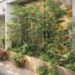 HOME Cricca 1 150x150 - HOME