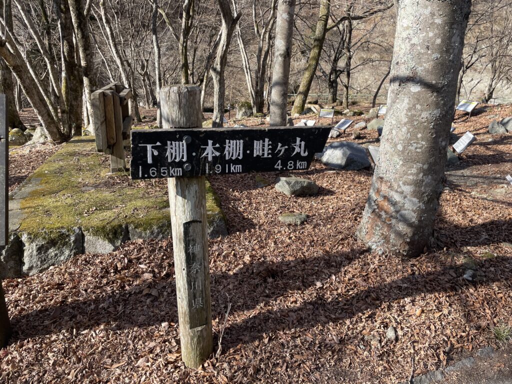 A Landscape Architect's Mountain Journey — Winter in Nishi-Tanzawa: Azegamaru (Early Winter 2026) IMG 1175 2 1024x768 - A Landscape Architect's Mountain Journey — Winter in Nishi-Tanzawa: Azegamaru (Early Winter 2026)