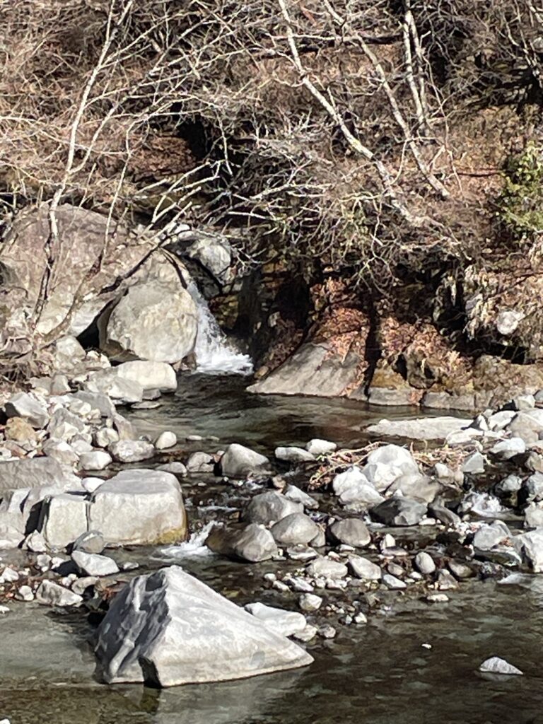 A Landscape Architect's Mountain Journey — Winter in Nishi-Tanzawa: Azegamaru (Early Winter 2026) IMG 1176 2 768x1024 - A Landscape Architect's Mountain Journey — Winter in Nishi-Tanzawa: Azegamaru (Early Winter 2026)