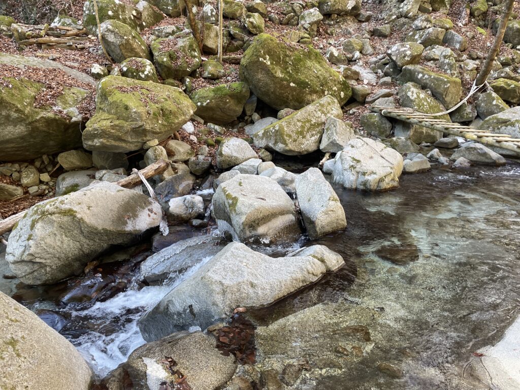 A Landscape Architect's Mountain Journey — Winter in Nishi-Tanzawa: Azegamaru (Early Winter 2026) IMG 1186 1024x768 - A Landscape Architect's Mountain Journey — Winter in Nishi-Tanzawa: Azegamaru (Early Winter 2026)