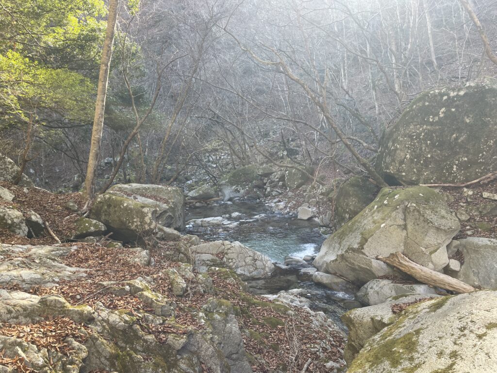 A Landscape Architect's Mountain Journey — Winter in Nishi-Tanzawa: Azegamaru (Early Winter 2026) IMG 1188 1024x768 - A Landscape Architect's Mountain Journey — Winter in Nishi-Tanzawa: Azegamaru (Early Winter 2026)