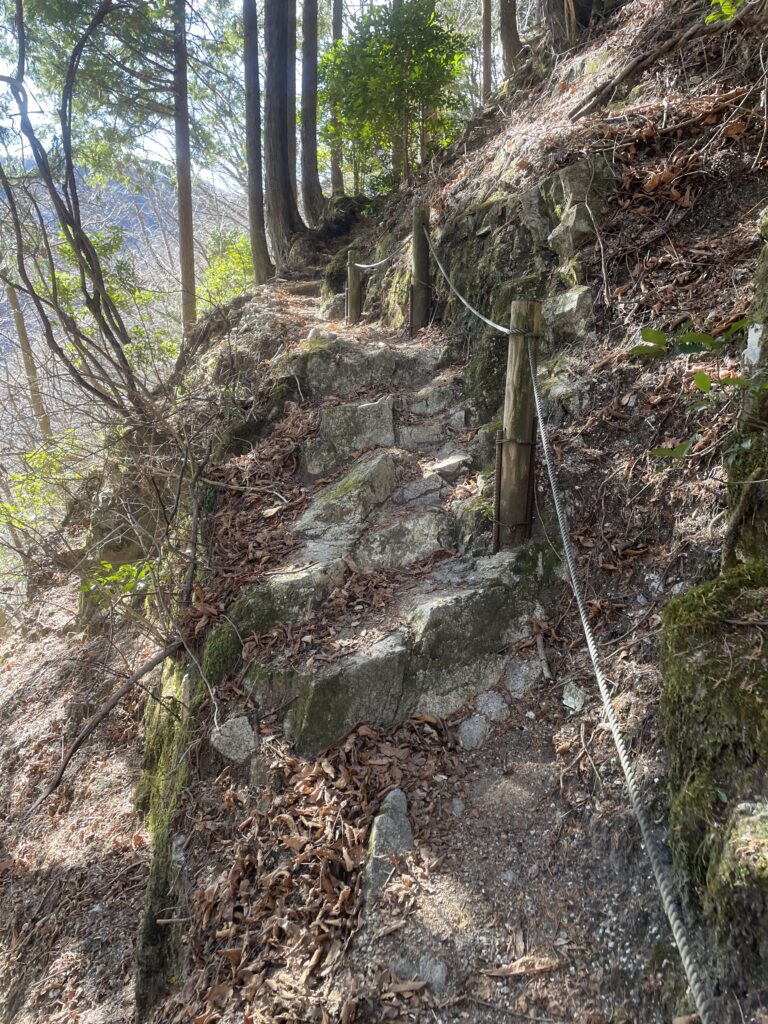 A Landscape Architect's Mountain Journey — Winter in Nishi-Tanzawa: Azegamaru (Early Winter 2026) IMG 1195 768x1024 - A Landscape Architect's Mountain Journey — Winter in Nishi-Tanzawa: Azegamaru (Early Winter 2026)
