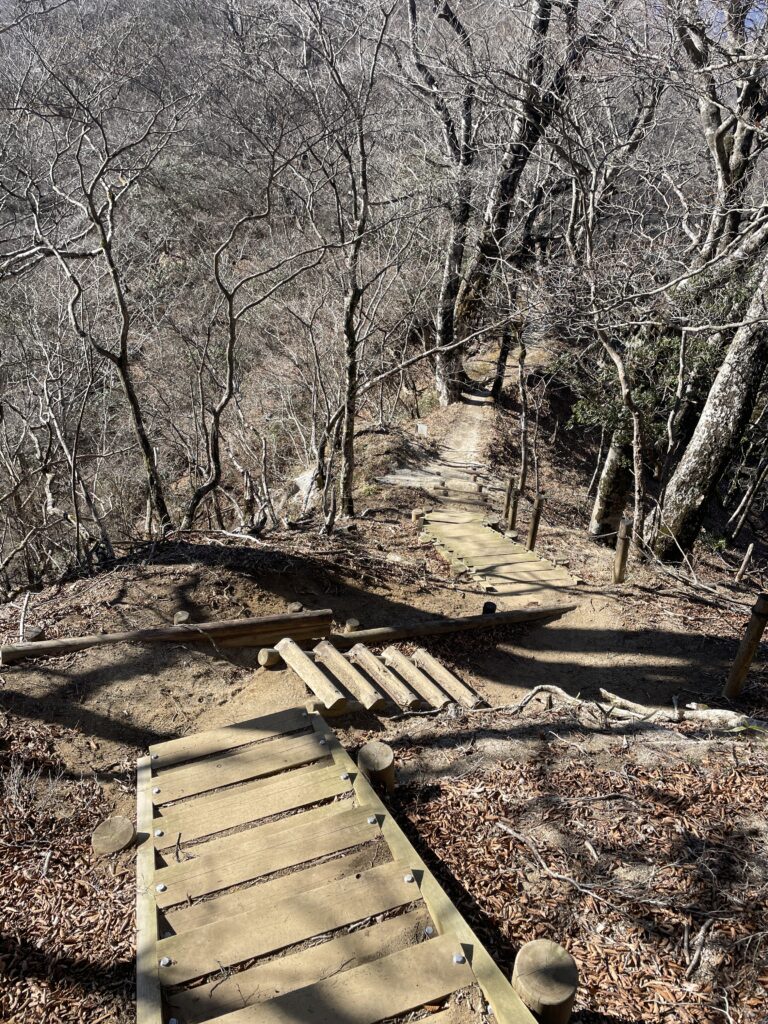 A Landscape Architect's Mountain Journey — Winter in Nishi-Tanzawa: Azegamaru (Early Winter 2026) IMG 1207 2 768x1024 - A Landscape Architect's Mountain Journey — Winter in Nishi-Tanzawa: Azegamaru (Early Winter 2026)