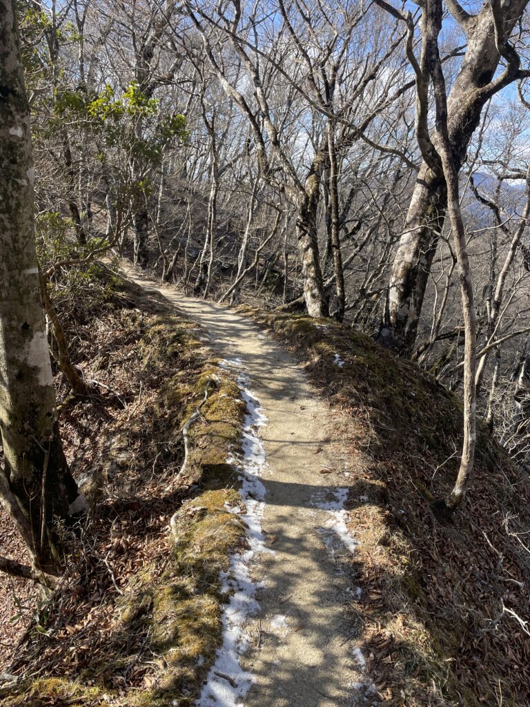 A Landscape Architect's Mountain Journey — Winter in Nishi-Tanzawa: Azegamaru (Early Winter 2026) IMG 1210 2 768x1024 - A Landscape Architect's Mountain Journey — Winter in Nishi-Tanzawa: Azegamaru (Early Winter 2026)