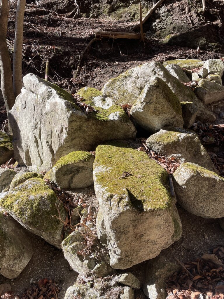 A Landscape Architect's Mountain Journey — Winter in Nishi-Tanzawa: Azegamaru (Early Winter 2026) IMG 1239 2 768x1024 - A Landscape Architect's Mountain Journey — Winter in Nishi-Tanzawa: Azegamaru (Early Winter 2026)