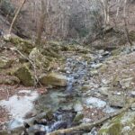 IMG 1254 2 150x150 - A Landscape Architect's Mountain Journey — Winter in Nishi-Tanzawa: Azegamaru (Early Winter 2026)