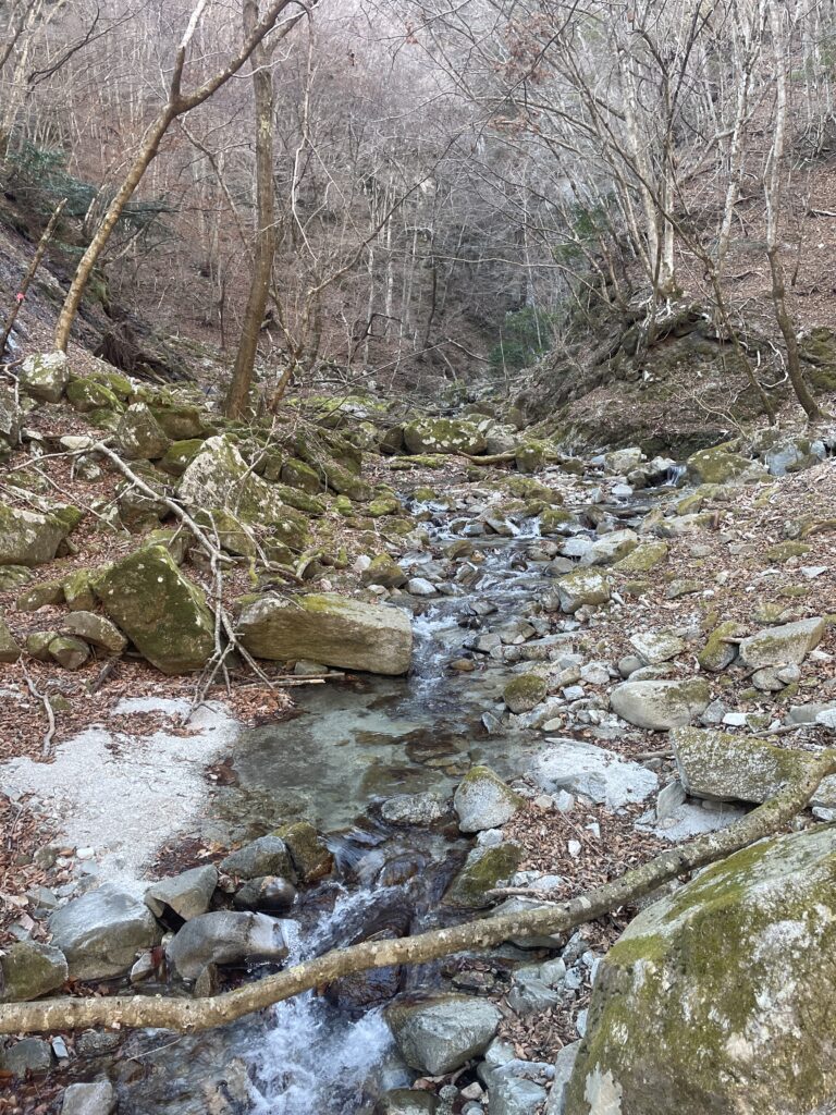 A Landscape Architect's Mountain Journey — Winter in Nishi-Tanzawa: Azegamaru (Early Winter 2026) IMG 1254 2 768x1024 - A Landscape Architect's Mountain Journey — Winter in Nishi-Tanzawa: Azegamaru (Early Winter 2026)