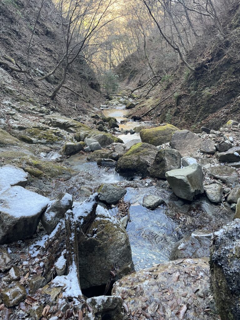 A Landscape Architect's Mountain Journey — Winter in Nishi-Tanzawa: Azegamaru (Early Winter 2026) IMG 1288 2 768x1024 - A Landscape Architect's Mountain Journey — Winter in Nishi-Tanzawa: Azegamaru (Early Winter 2026)
