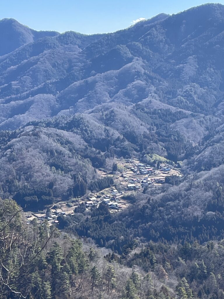 IMG 1437 768x1024 - 造園家の山歩き ― 冬の御前山、そして焼かれた尾根で学んだこと