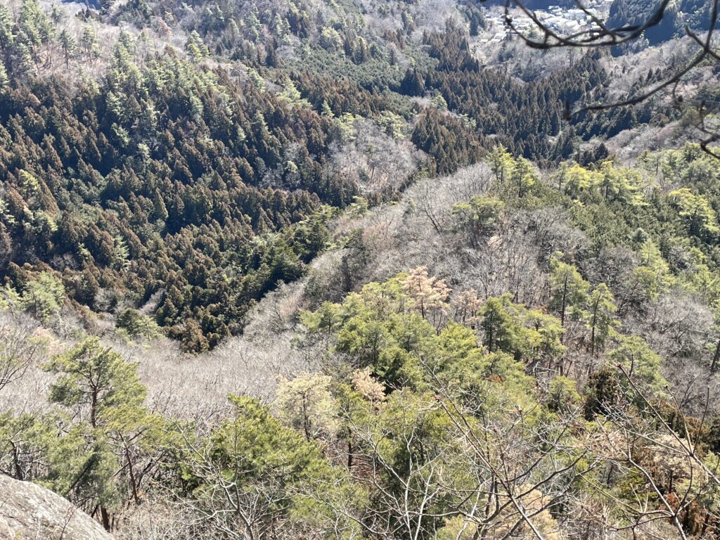 IMG 1439 1024x768 - 造園家の山歩き ― 冬の御前山、そして焼かれた尾根で学んだこと