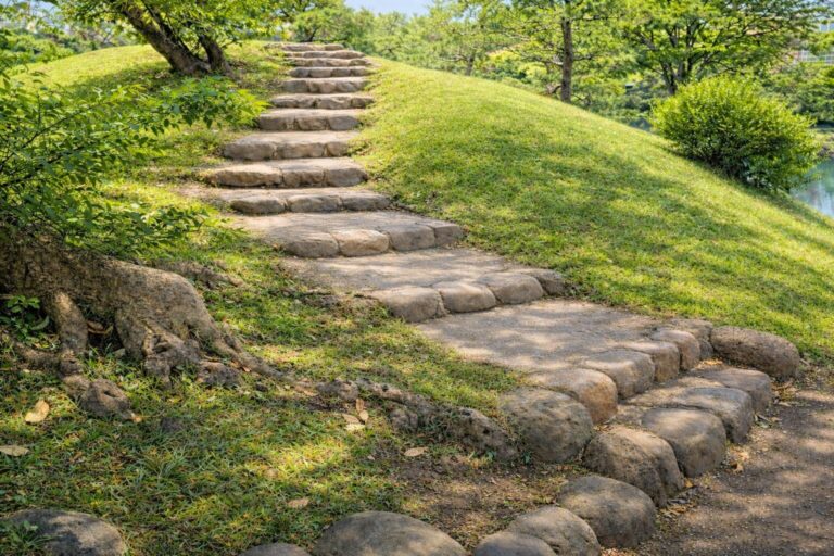 Kyushiba-1-1-768x512