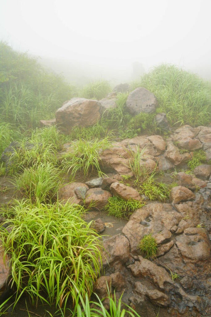 霧の阿蘇 ― 火山の地形を歩く DSC00439 683x1024 - 霧の阿蘇 ― 火山の地形を歩く