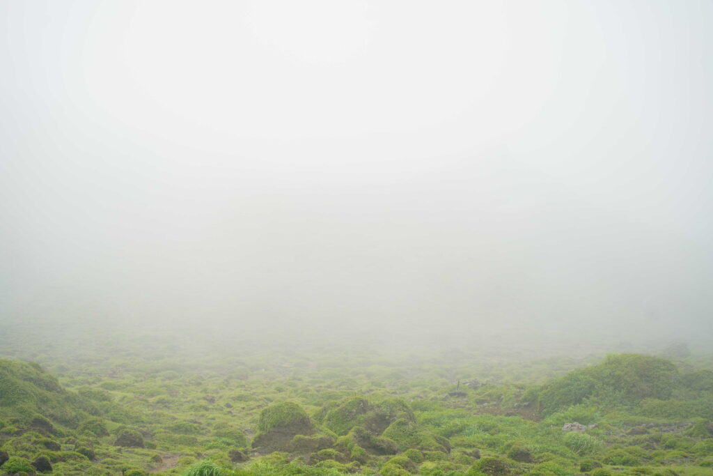 霧の阿蘇 ― 火山の地形を歩く DSC00452 1024x683 - 霧の阿蘇 ― 火山の地形を歩く