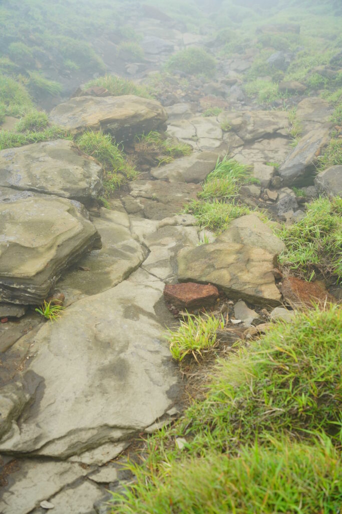 霧の阿蘇 ― 火山の地形を歩く DSC00456 683x1024 - 霧の阿蘇 ― 火山の地形を歩く