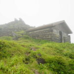 DSC00457 150x150 - 9月、三頭山の森を歩く