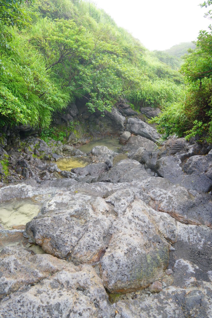 霧の阿蘇 ― 火山の地形を歩く DSC00480 683x1024 - 霧の阿蘇 ― 火山の地形を歩く