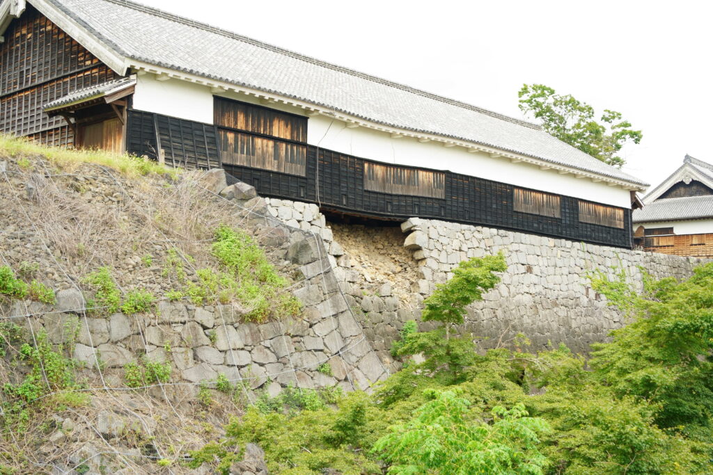 石の声を聞く ― 穴太衆積みを学び、熊本城の石垣を見る DSC00507 1024x683 - 石の声を聞く ― 穴太衆積みを学び、熊本城の石垣を見る