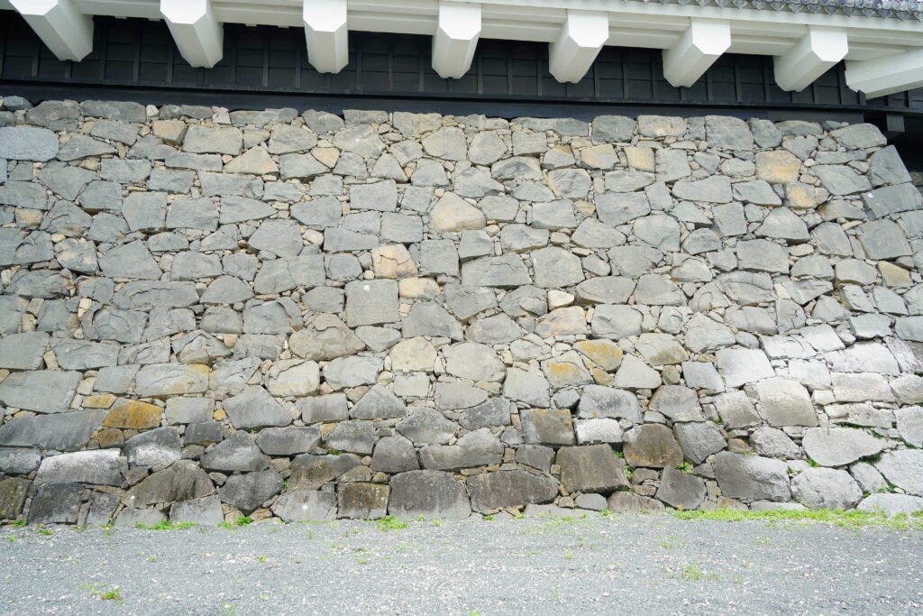 石の声を聞く ― 穴太衆積みを学び、熊本城の石垣を見る DSC00522 1024x683 - 石の声を聞く ― 穴太衆積みを学び、熊本城の石垣を見る