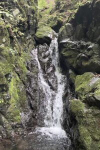 沢の先にあるもの