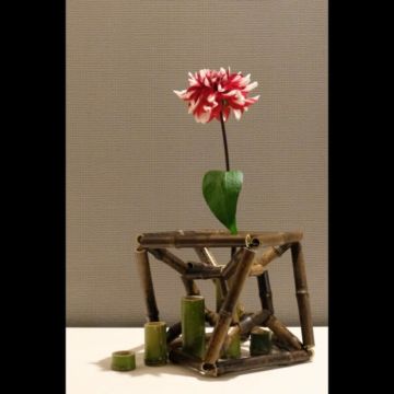 Flower arrangement svg+xml,%3Csvg%20xmlns%3D%22http%3A%2F%2Fwww.w3 - Flower arrangement