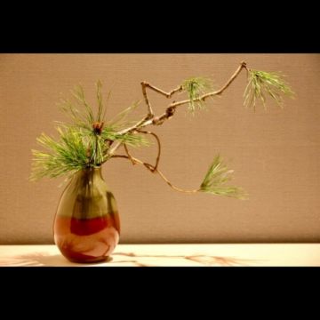 Flower arrangement svg+xml,%3Csvg%20xmlns%3D%22http%3A%2F%2Fwww.w3 - Flower arrangement