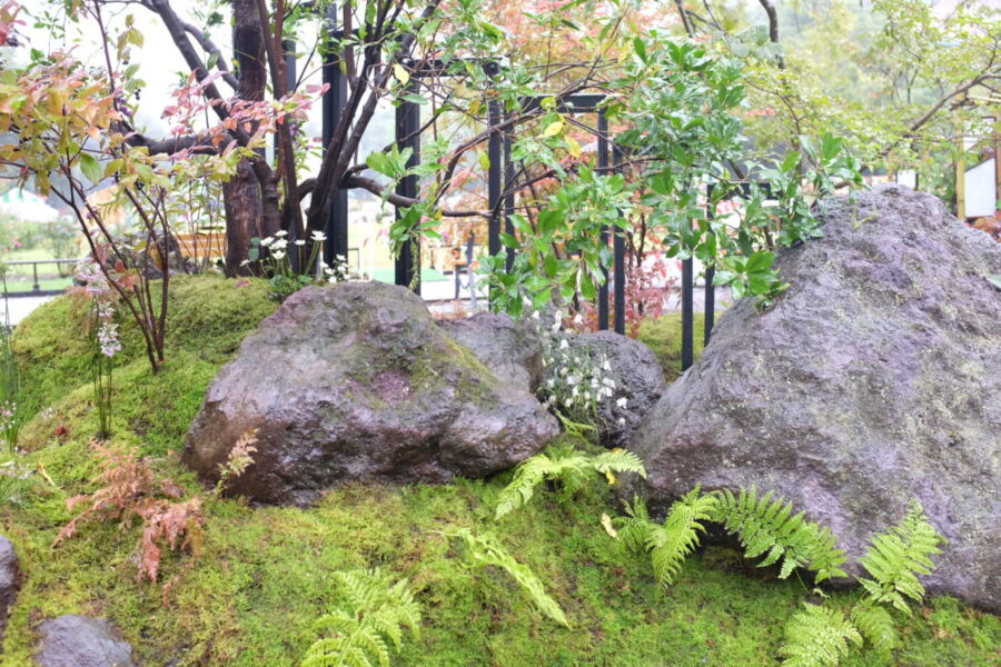 屋外空間 svg+xml,%3Csvg%20xmlns%3D%22http%3A%2F%2Fwww.w3 - 屋外空間