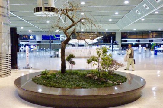 Designing and construction work svg+xml,%3Csvg%20xmlns%3D%22http%3A%2F%2Fwww.w3 - Designing and construction work