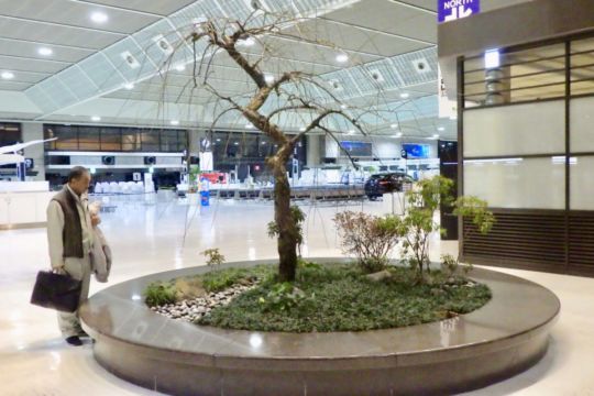 Designing and construction work svg+xml,%3Csvg%20xmlns%3D%22http%3A%2F%2Fwww.w3 - Designing and construction work