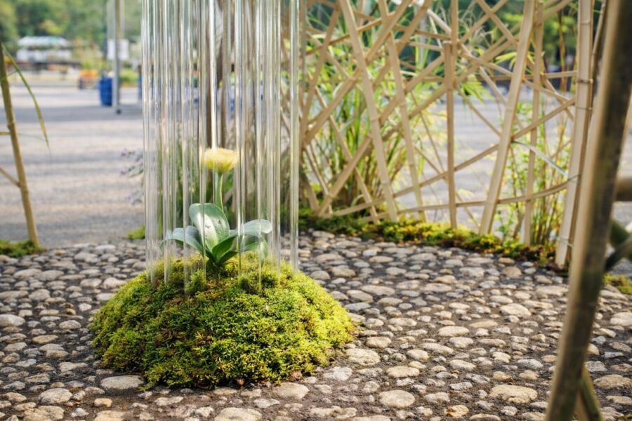 屋外空間 svg+xml,%3Csvg%20xmlns%3D%22http%3A%2F%2Fwww.w3 - 屋外空間