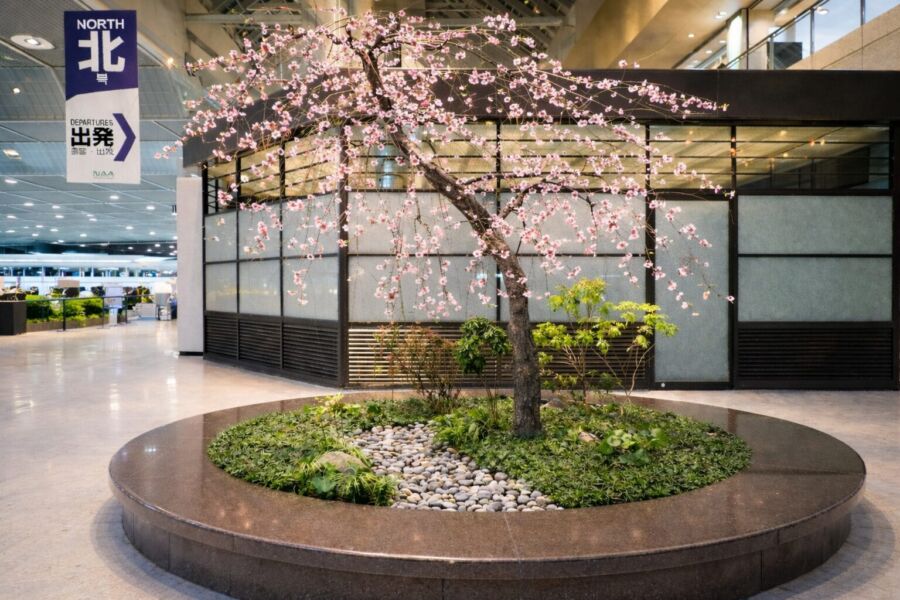 屋外空間 svg+xml,%3Csvg%20xmlns%3D%22http%3A%2F%2Fwww.w3 - 屋外空間