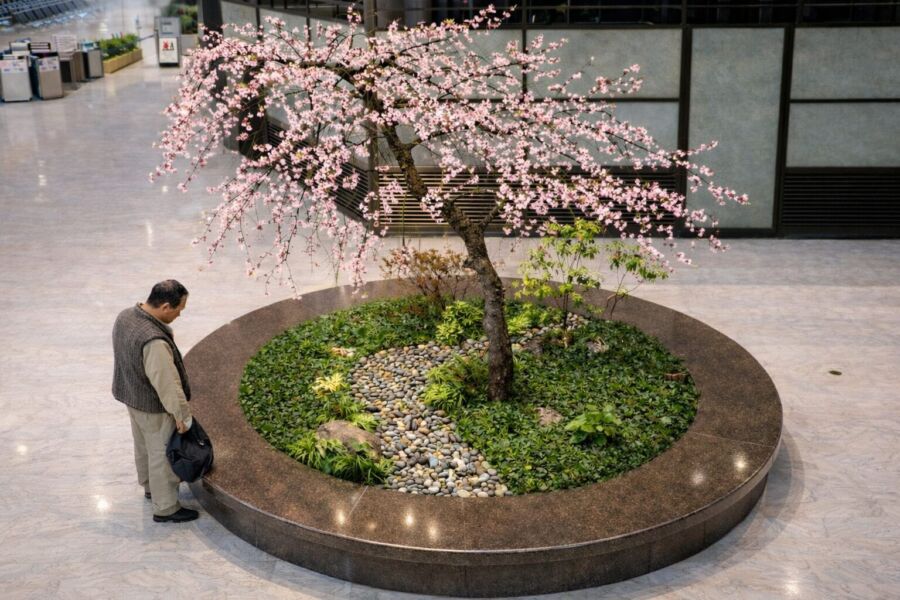 屋外空間 svg+xml,%3Csvg%20xmlns%3D%22http%3A%2F%2Fwww.w3 - 屋外空間