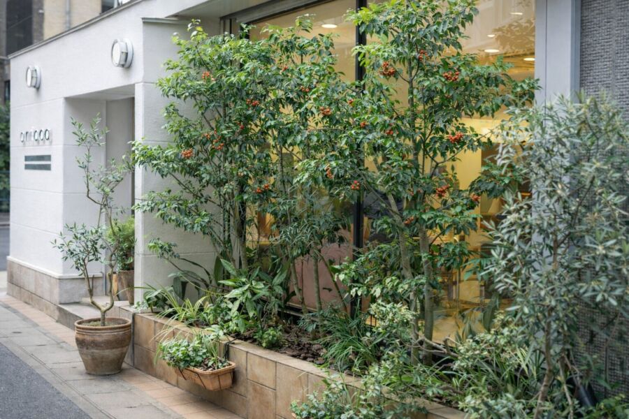 屋外空間 svg+xml,%3Csvg%20xmlns%3D%22http%3A%2F%2Fwww.w3 - 屋外空間