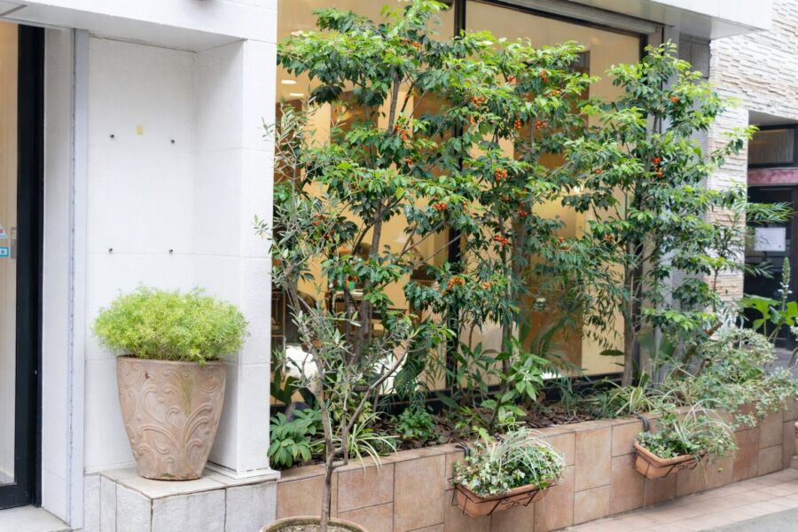 屋外空間 svg+xml,%3Csvg%20xmlns%3D%22http%3A%2F%2Fwww.w3 - 屋外空間