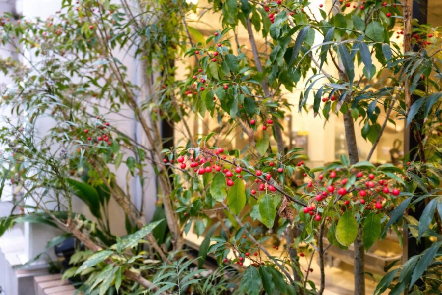 屋外空間 svg+xml,%3Csvg%20xmlns%3D%22http%3A%2F%2Fwww.w3 - 屋外空間