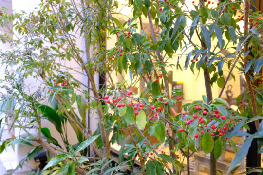 Designing and construction work svg+xml,%3Csvg%20xmlns%3D%22http%3A%2F%2Fwww.w3 - Designing and construction work